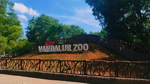 Vandalur Zoo