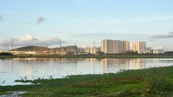Pallikaranai Marsh